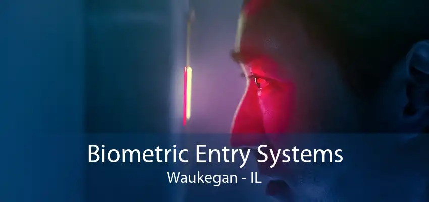 Biometric Entry Systems Waukegan - IL