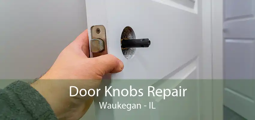 Door Knobs Repair Waukegan - IL